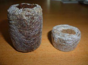 50mm pellet when expanded