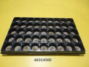 Trays