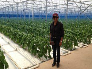 An undercover pepper farmer
