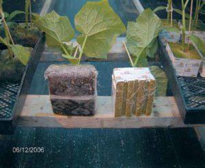 Jiffy Growblock