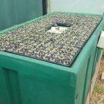 Tomato seedlings germinating in Jiffy 7C 40mmx45mm pellets in the ebb and flow system